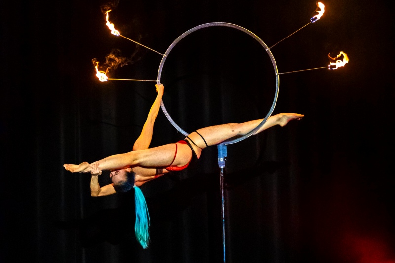 67e576c56e942-lollipopshow2.jpg
