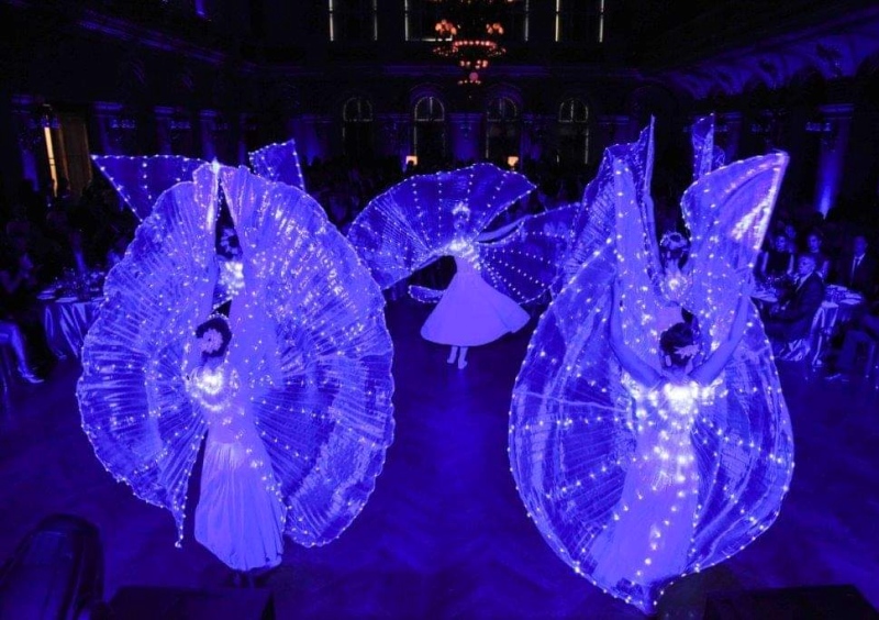 68f8f1fc7bdbf-lightshowfrozen2.jpg